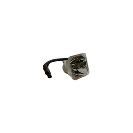 WW-1BEG-2 International Lighting