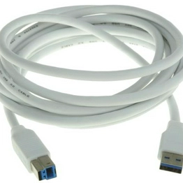 RS 7903697 image