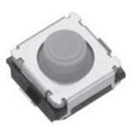 Panasonic EVPBD6C1A000 image