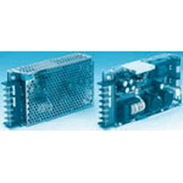 R100-12 COSEL