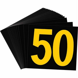 50015 BRADY