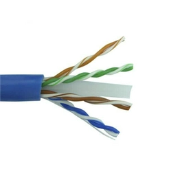 CAT6AU-1000BL TRIPLETT