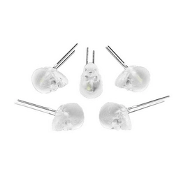 5429 Adafruit