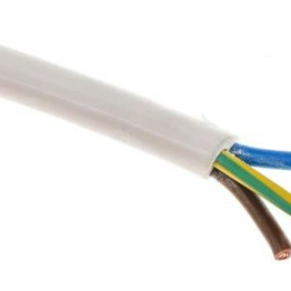 RS 491885 image