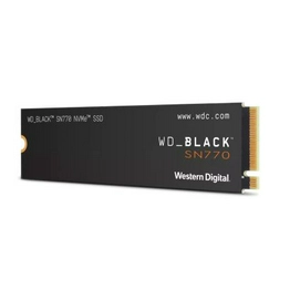 WDS100T3X0E Western Digital