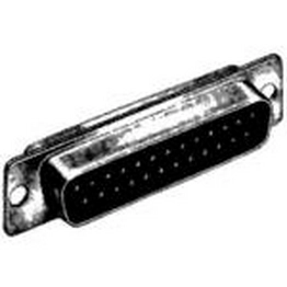 DBMMY25P Cinch