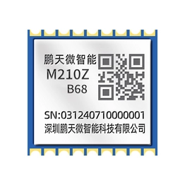 M210Z-B68 PTW