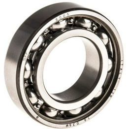 6005 SKF