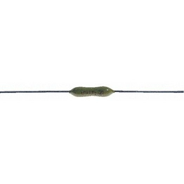 Littelfuse 0251005.MRT1L image