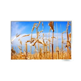 American Zettler Displays ATM1010L19 image