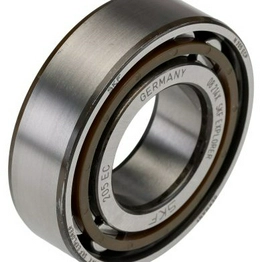 SKF N 205 ECP image