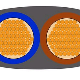 RS 7755855 image