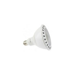 19PAR38/F254000-1200//DIM AF 1 International Lighting