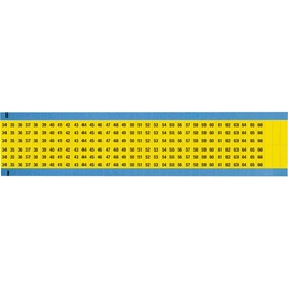 WM-34-66-YL-SC-PK BRADY