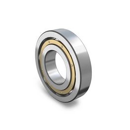 SKF W6006-2RS1 image