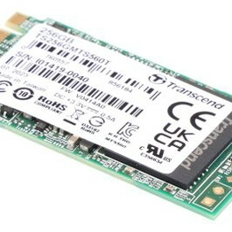 Transcend Information TS256GMTS560T image