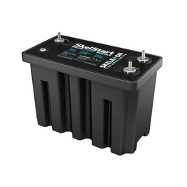 Skeleton Technologies SkelStart24V image