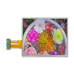 M170ETN01.1 + PCAP AU Optronics