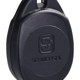 MZM 100 TARGET SCHMERSAL
