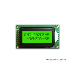 AMC1202AR-B-G6NFDY Orient Display