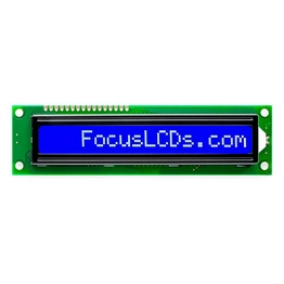 C161BLBSBSW6WNC3XAA FOCUS LCDs