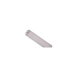 WW-EVGT-5 International Lighting