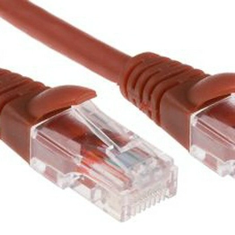 RS 556376 image