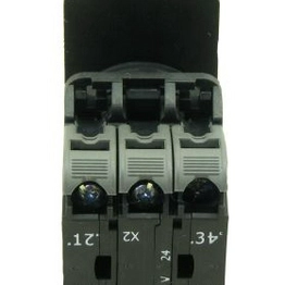 2398204 RS