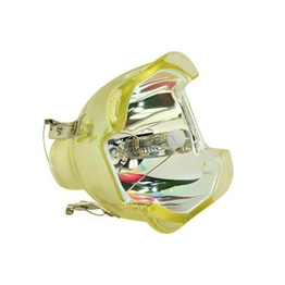 WW-4TFS-2 International Lighting