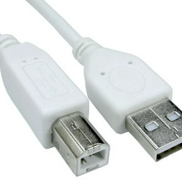 2513241 RS