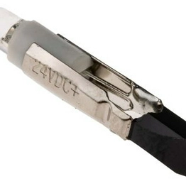 RS 225953 image