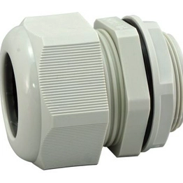 RS 2141082 image