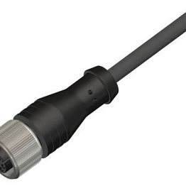 RS 2500643 image