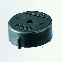 Murata Manufacturing PKB24SPCH3601-B0 image