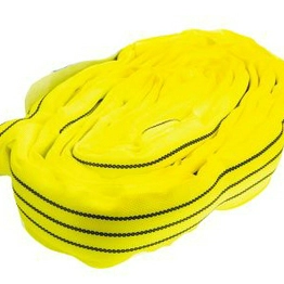 RS 7292990 image