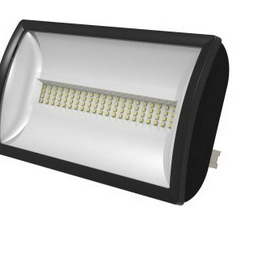 LEDX30FLBN TIMEGUARD