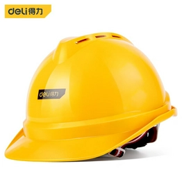 DL525001 DELI