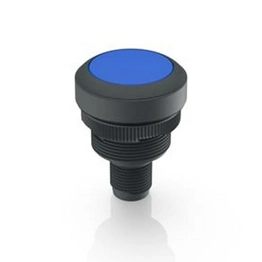 RAFI 1.10.011.001/0661 image