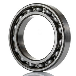 6013 SKF