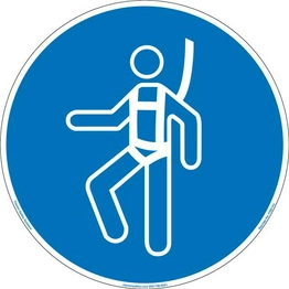 FIS6144-MVFA7 Clarion Safety Systems