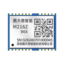 M216Z-B68 PTW