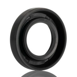 SKF 20X35X7 HMS5 RG image