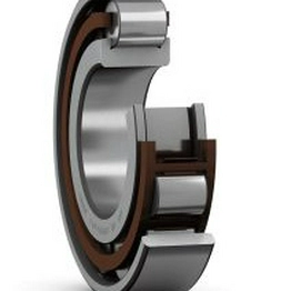 N 205 ECP SKF