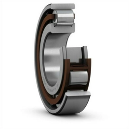 IR 25X30X20 SKF