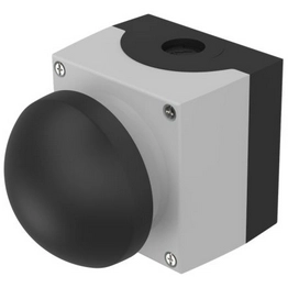 eao 45-481.1810 image