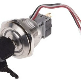 RS 8771909 image