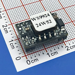 WS9900-24V0.4A Wshilink