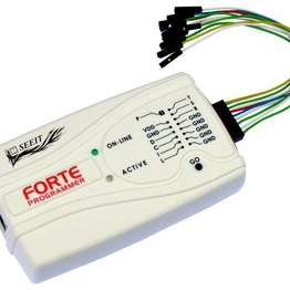 FORTE SEEIT