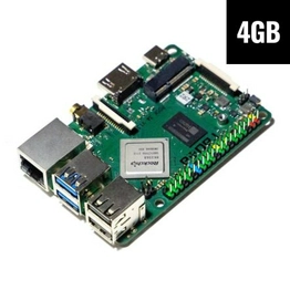 RS117-D4P1 OKDO