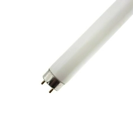 WX-EJS1-1 International Lighting